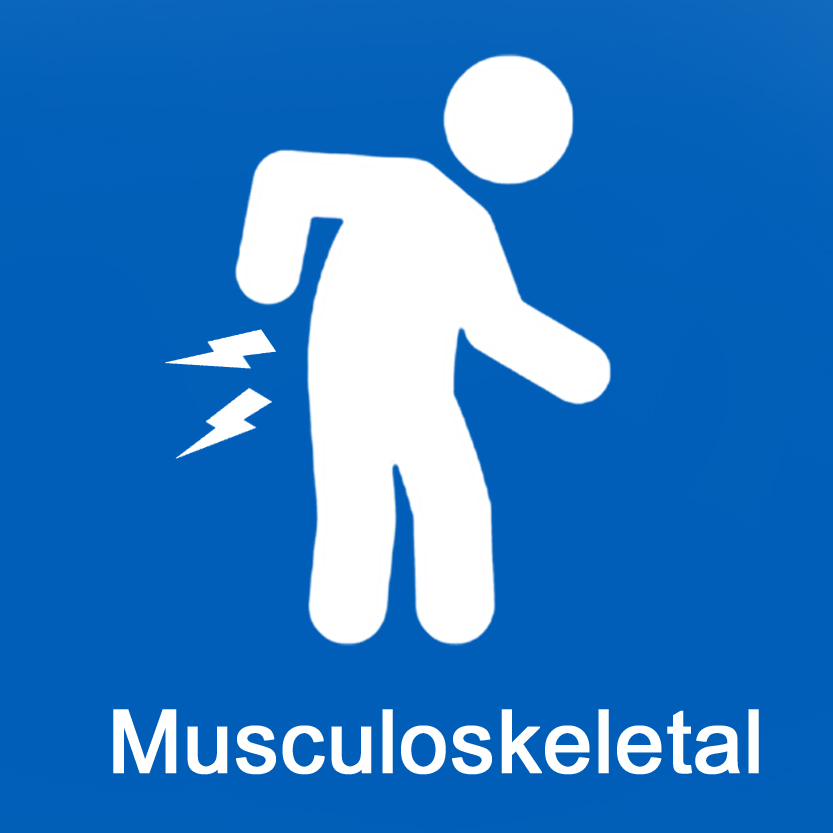 musculoskeletal.jpg